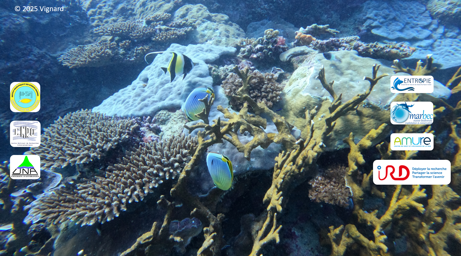 LABORATOIRE MIXTE INTERNATIONAL MIKAROKA