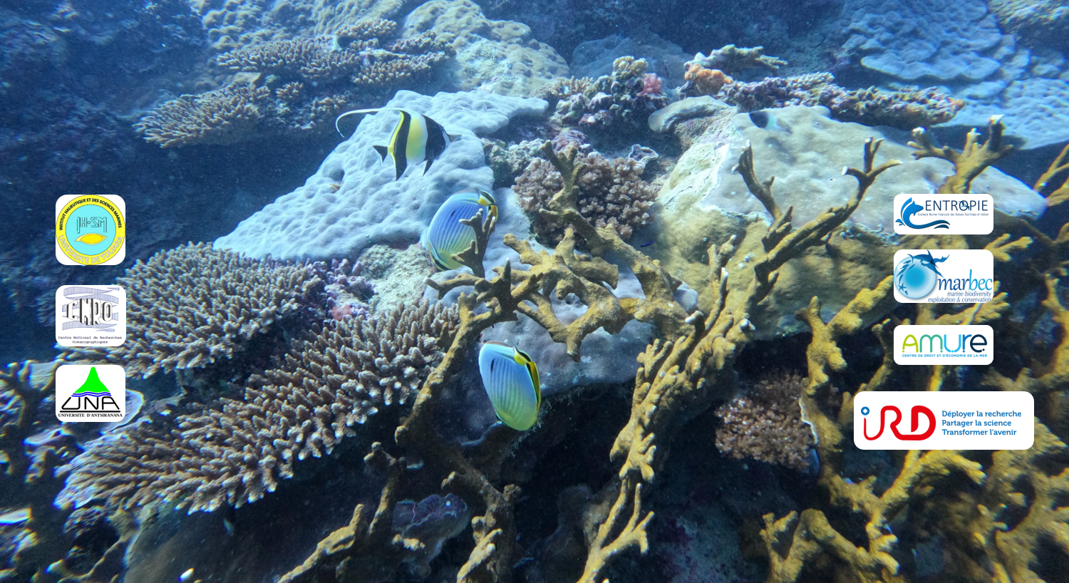 Laboratoire Mixte International Mikaroka